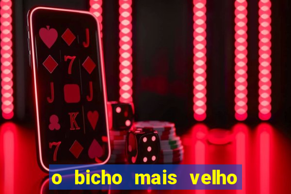 o bicho mais velho da loteria dos sonhos